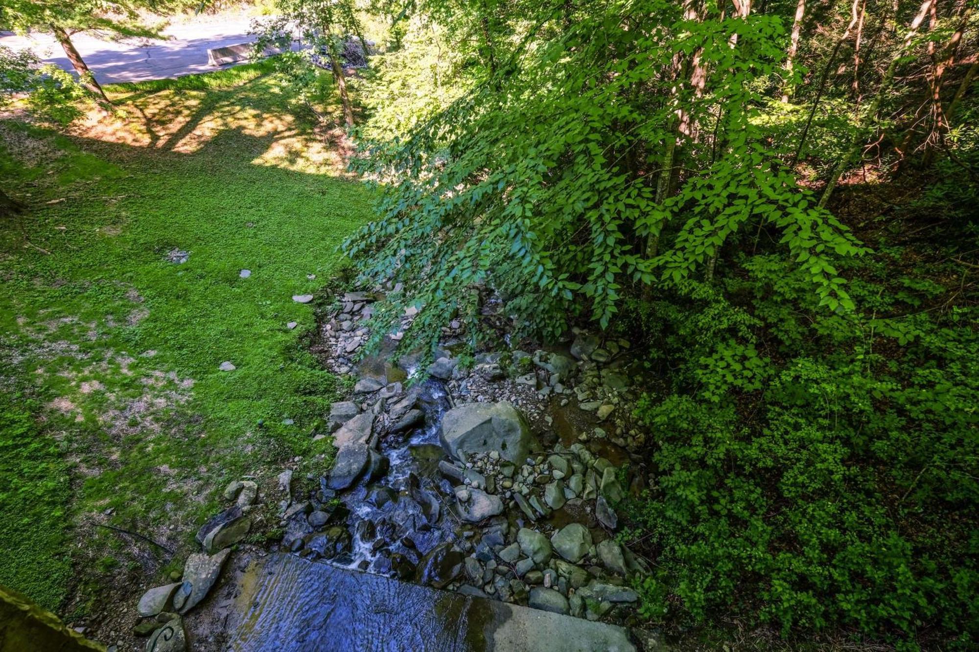 개틀린버그 Bear Creek 167 빌라 외부 사진